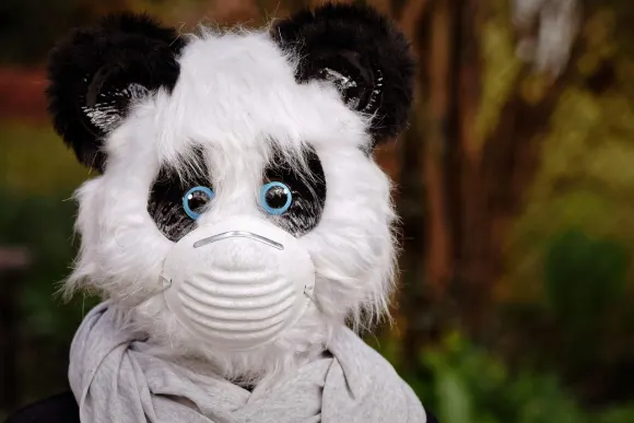 BetOriginal Kasino Sokongan